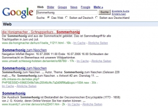 Screen-Shoot einer Google-Top10-Seite